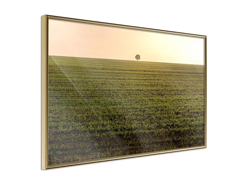 Affiche Murale Encadrée "Farmland" 30 x 20 cm Or