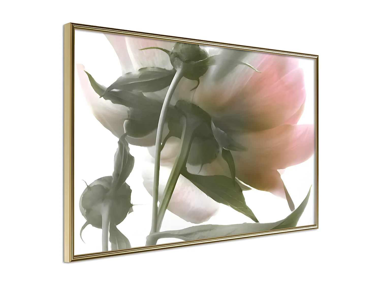 Affiche Murale Encadrée "Under the Flower" 45 x 30 cm Or