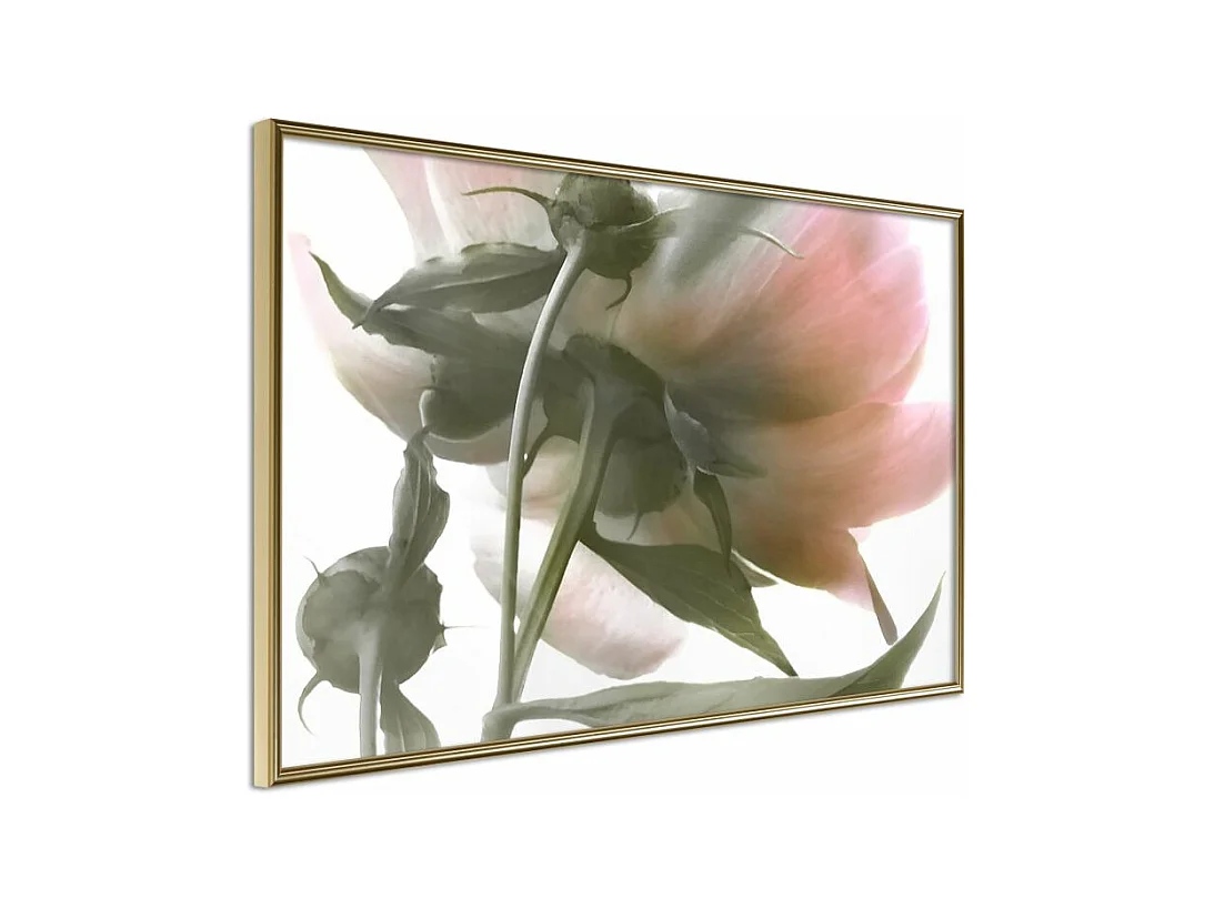 Affiche Murale Encadrée "Under the Flower" 60 x 40 cm Or