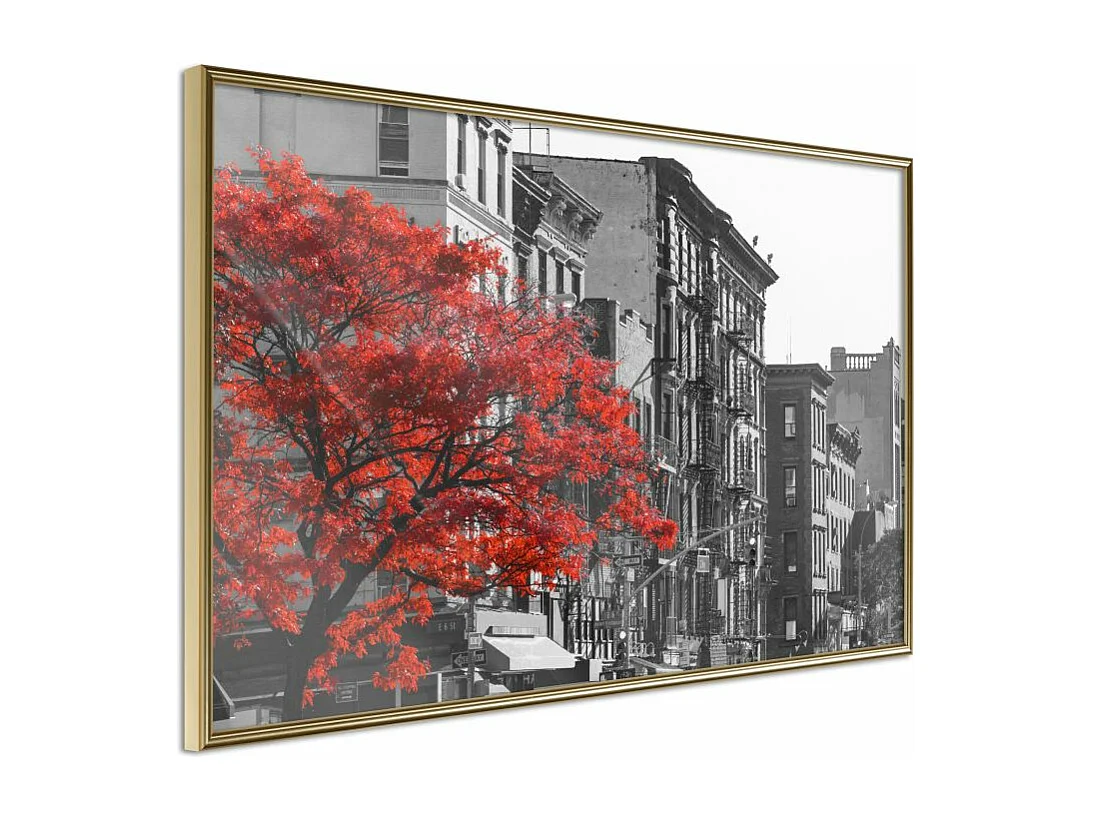 Affiche Murale Encadrée "Autumn Colours II" 60 x 40 cm Or