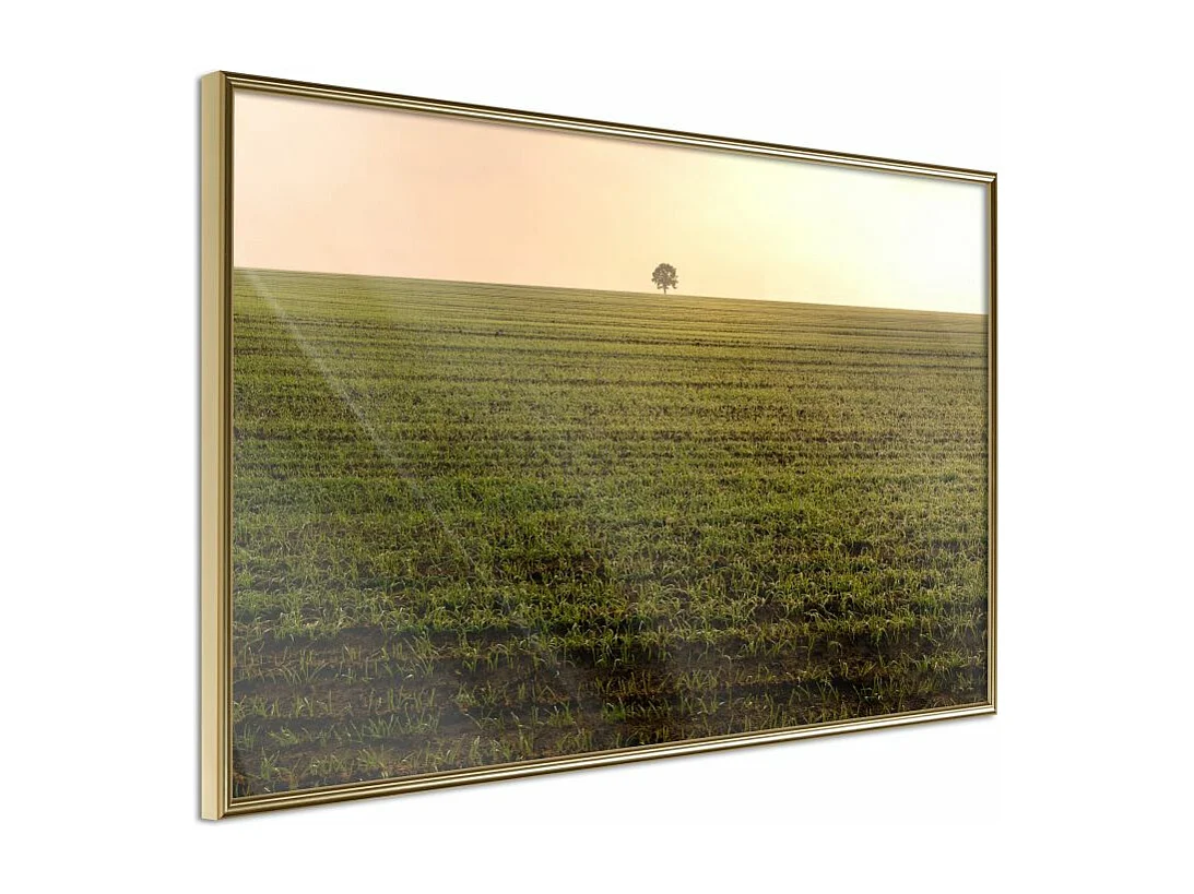 Affiche Murale Encadrée "Farmland" 45 x 30 cm Or