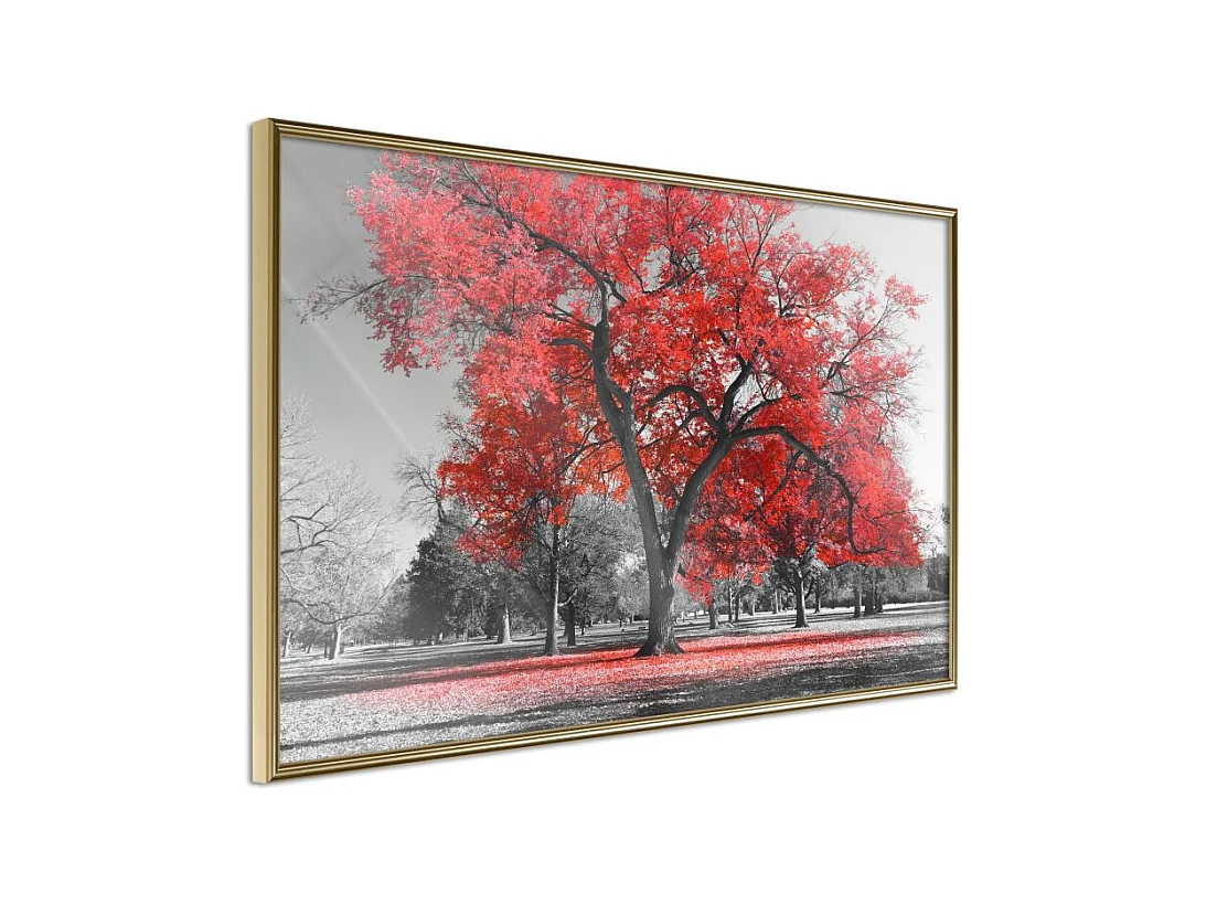 Affiche Murale Encadrée "Red Tree" 60 x 40 cm Or