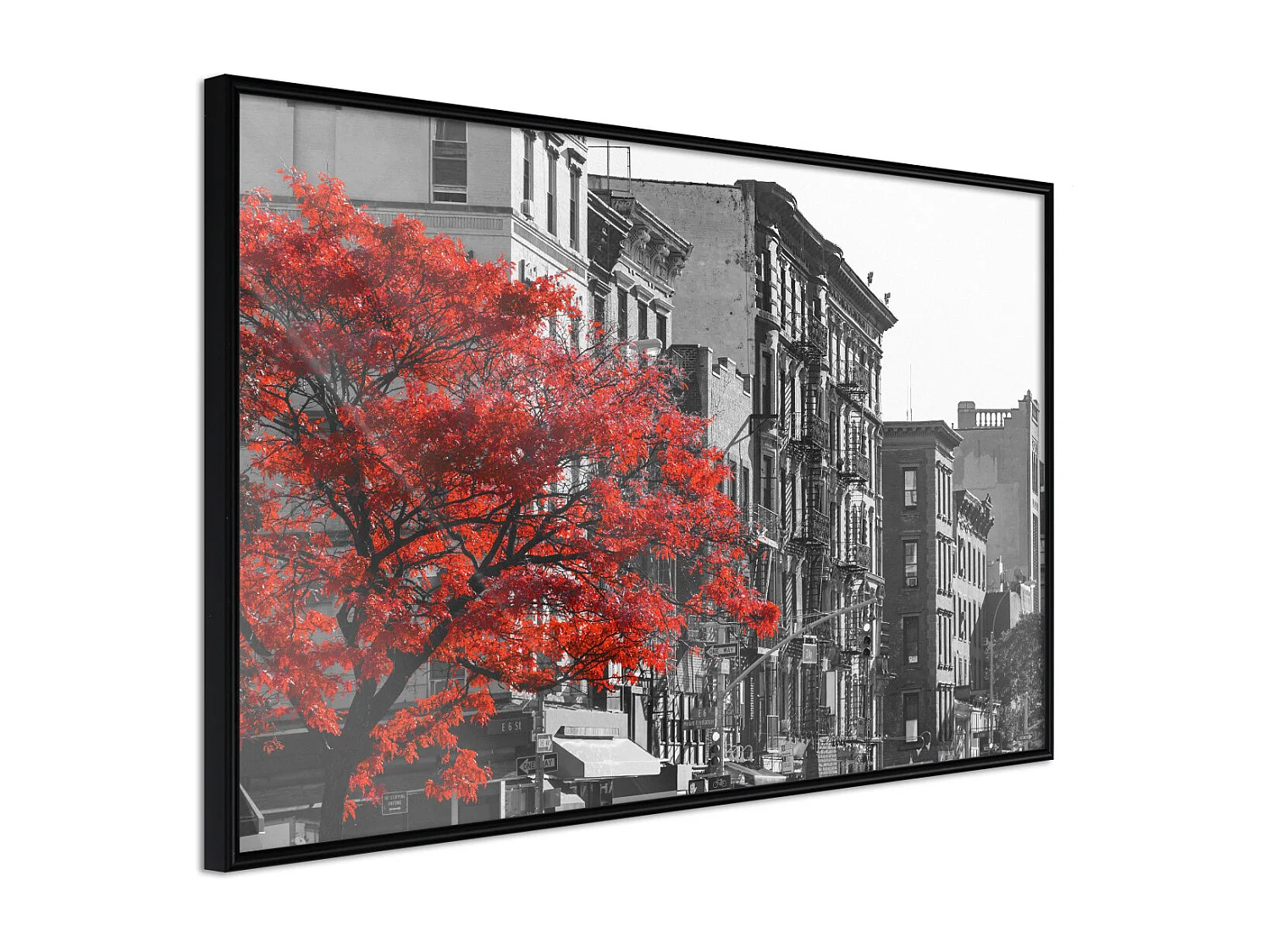 Affiche Murale Encadrée "Autumn Colours II" 45 x 30 cm Noir