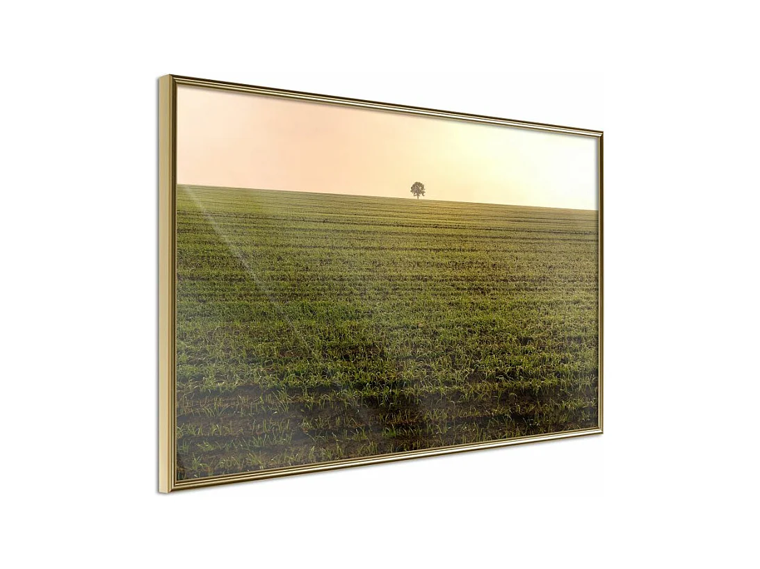 Affiche Murale Encadrée "Farmland" 60 x 40 cm Or