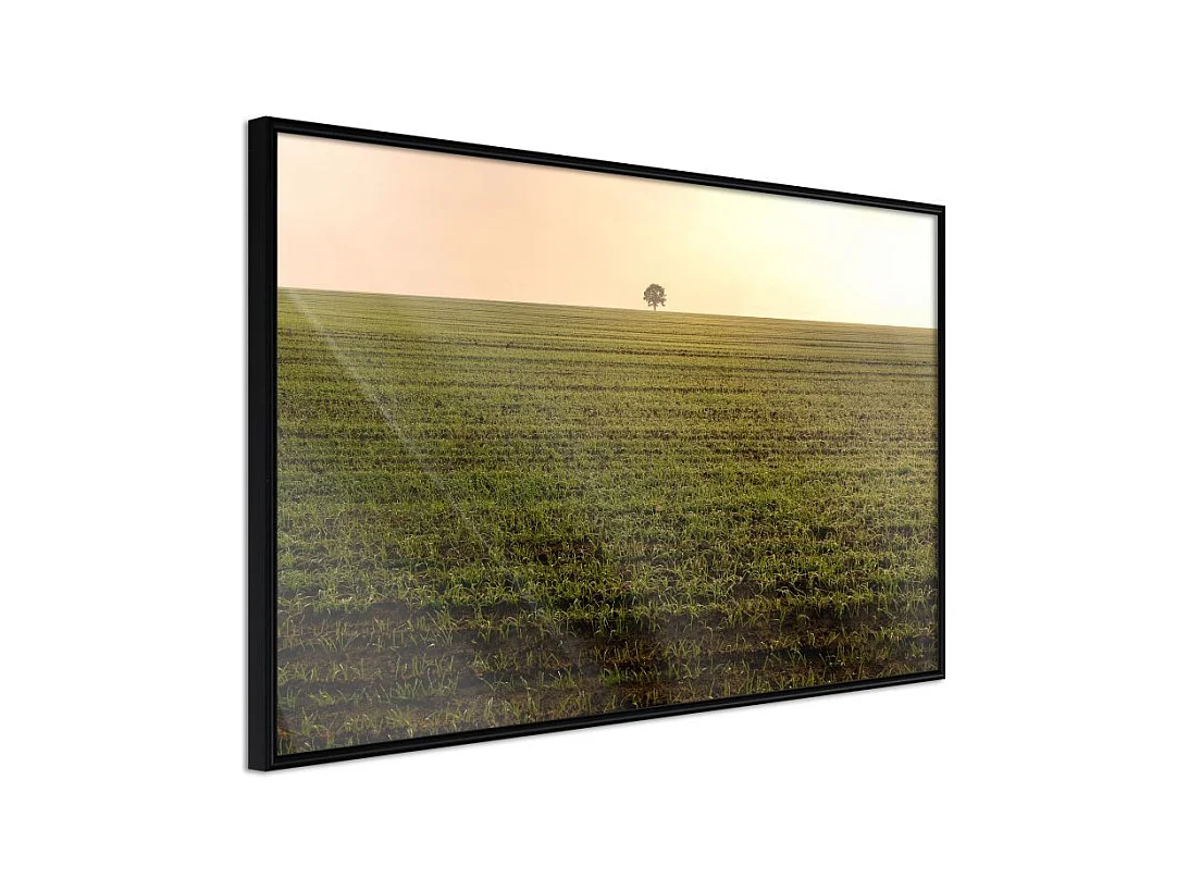 Affiche Murale Encadrée "Farmland" 90 x 60 cm Noir