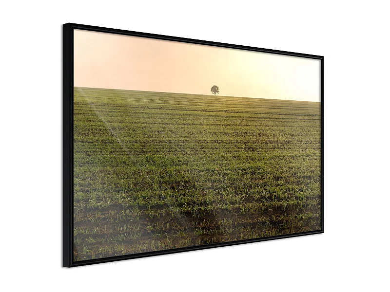 Affiche Murale Encadrée "Farmland" 90 x 60 cm Noir