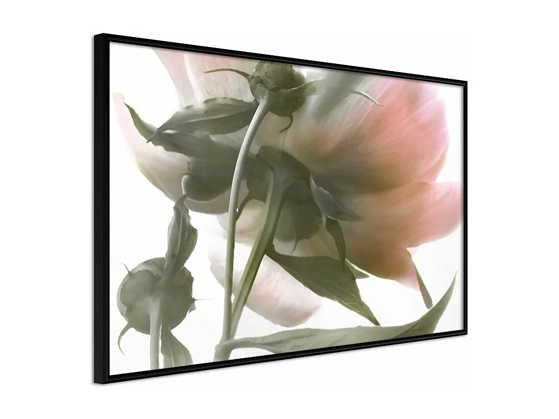 Affiche Murale Encadrée "Under the Flower" 60 x 40 cm Noir