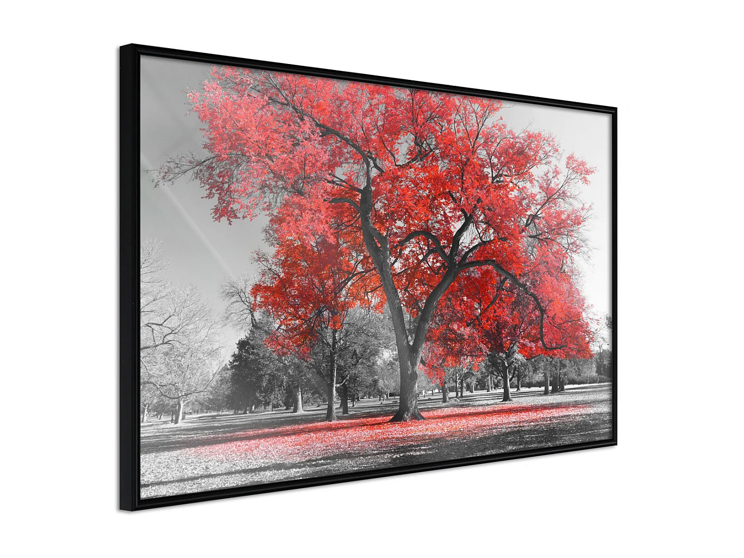 Affiche Murale Encadrée "Red Tree" 45 x 30 cm Noir