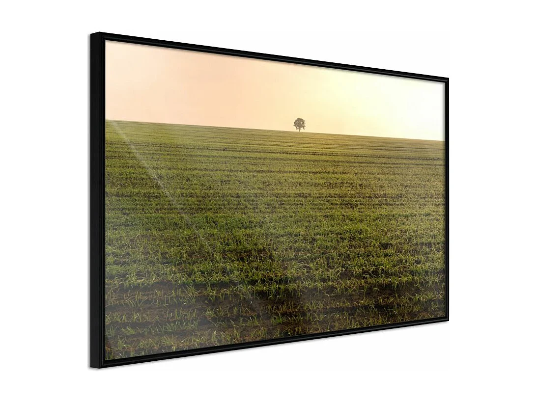 Affiche Murale Encadrée "Farmland" 45 x 30 cm Noir