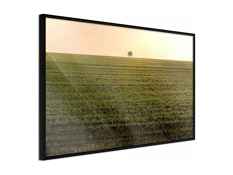 Affiche Murale Encadrée "Farmland" 45 x 30 cm Noir
