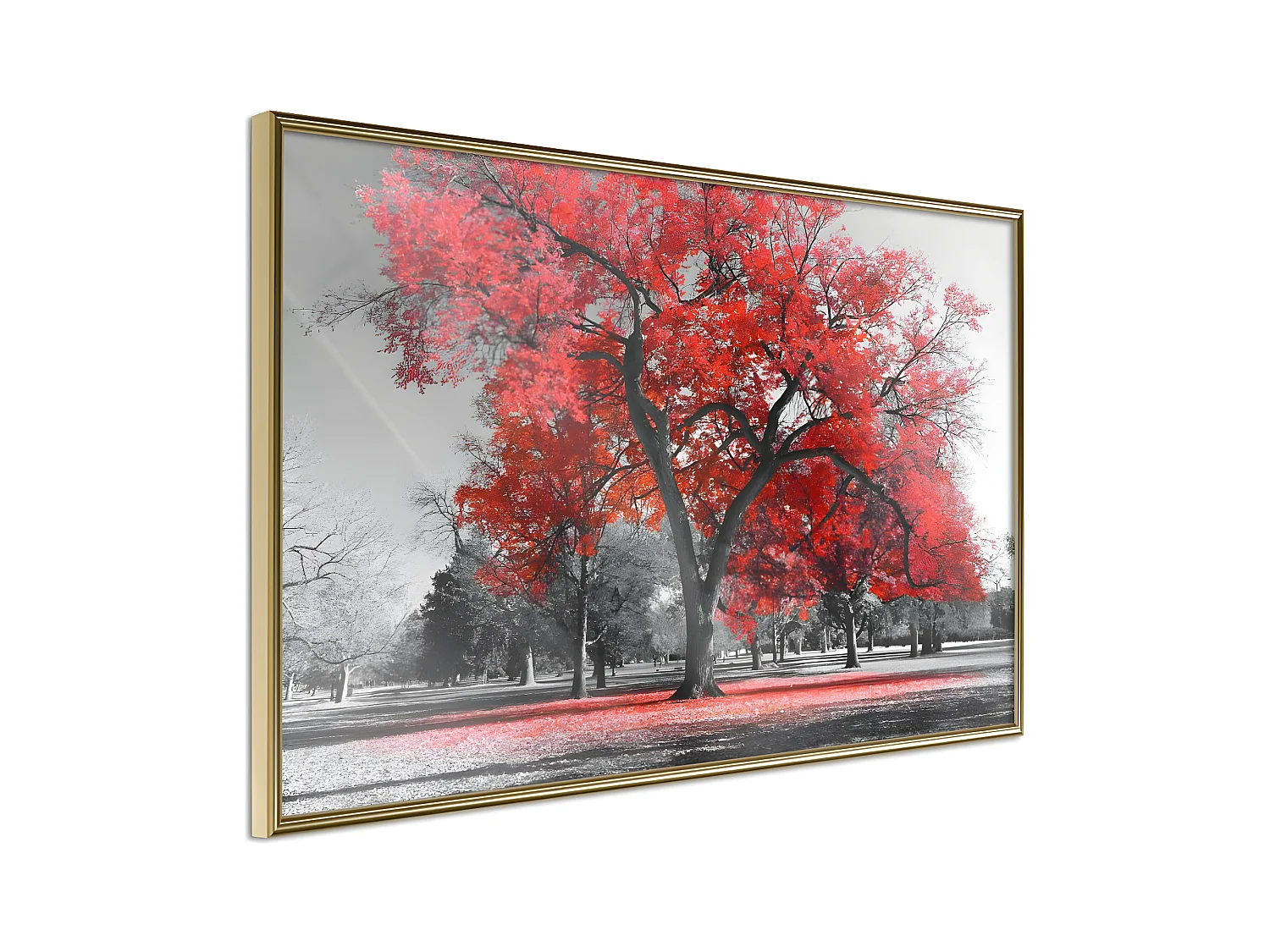 Affiche Murale Encadrée "Red Tree" 45 x 30 cm Or