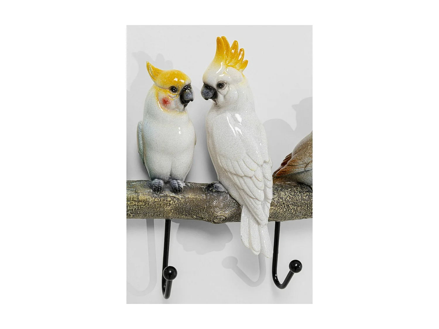 Garderobe murale Exotic Birds