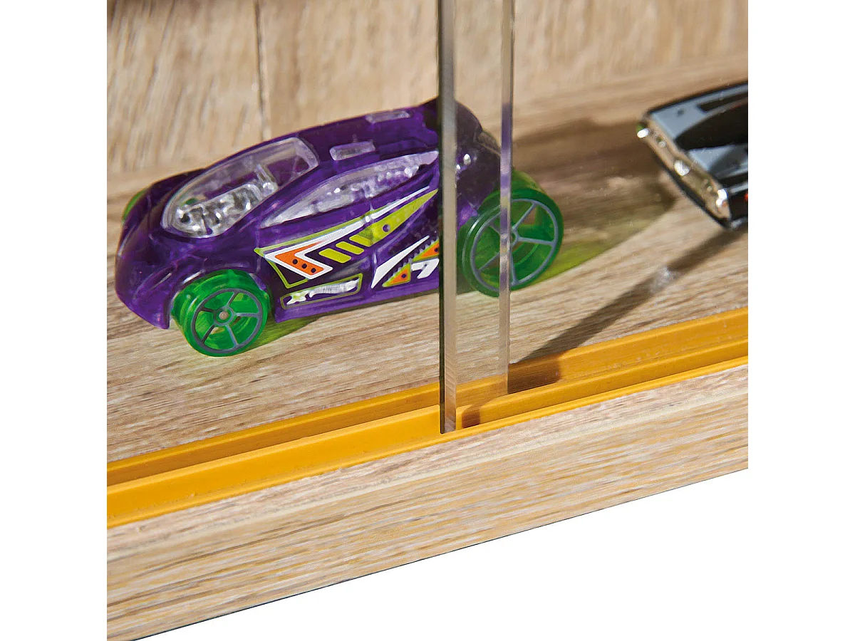 COLLECT CHENE - Vitrine Murale