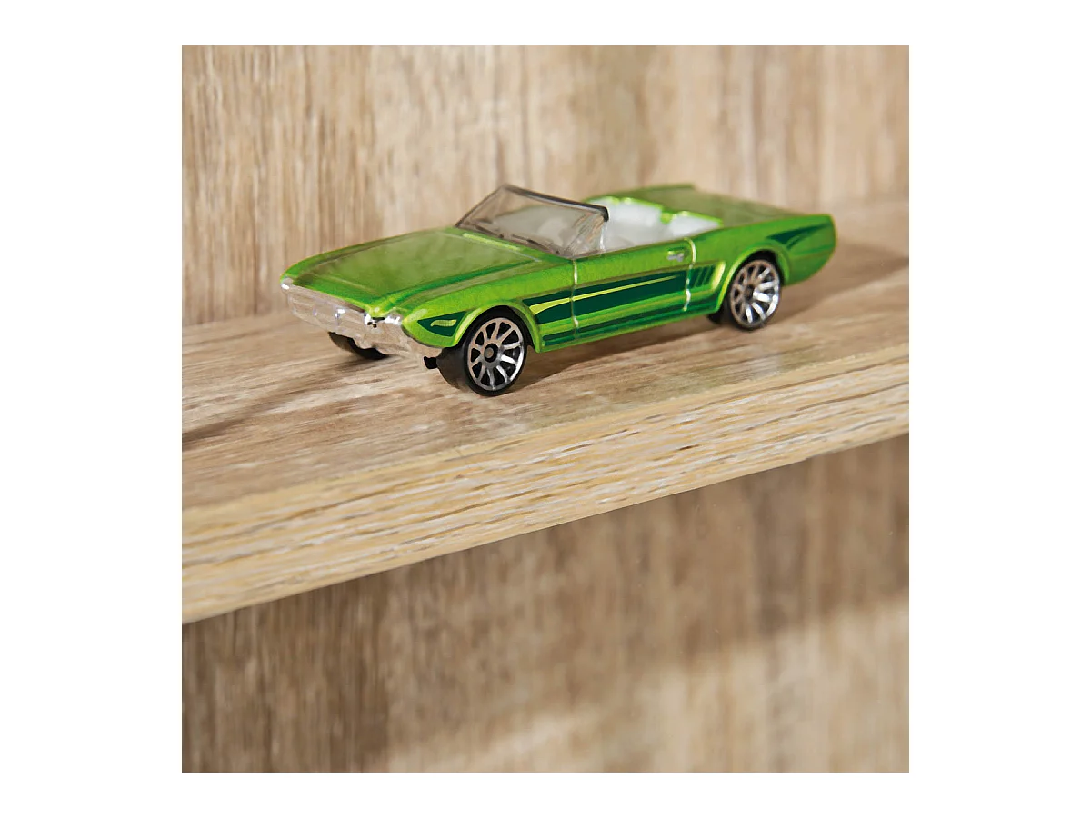 COLLECT CHENE - Vitrine Murale