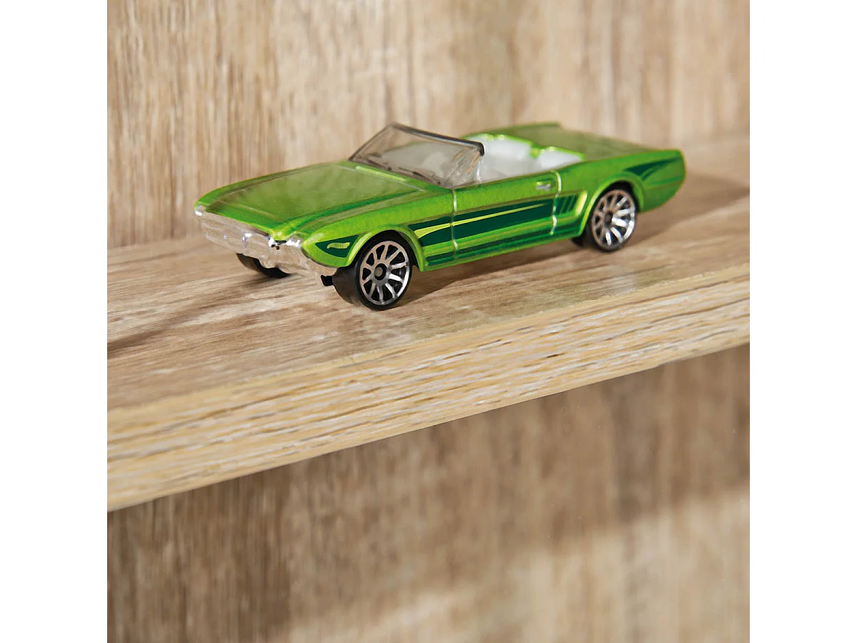 COLLECT CHENE - Vitrine Murale