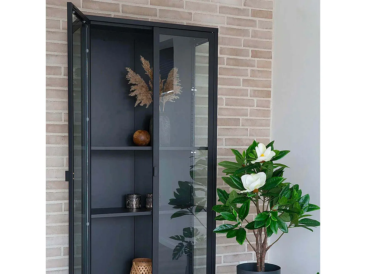 HENDRA - Vitrine 2 Portes Verre et Acier Noir H175cm