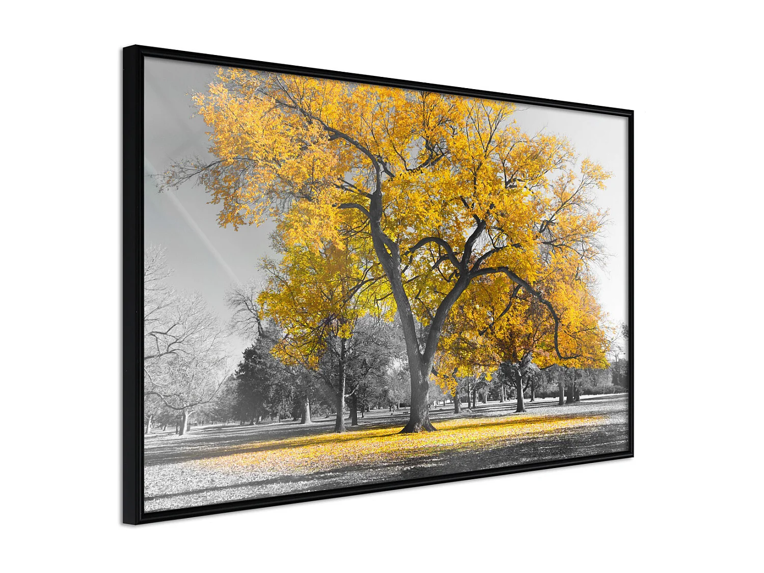 Affiche Murale Encadrée "Golden Tree" 45 x 30 cm Noir