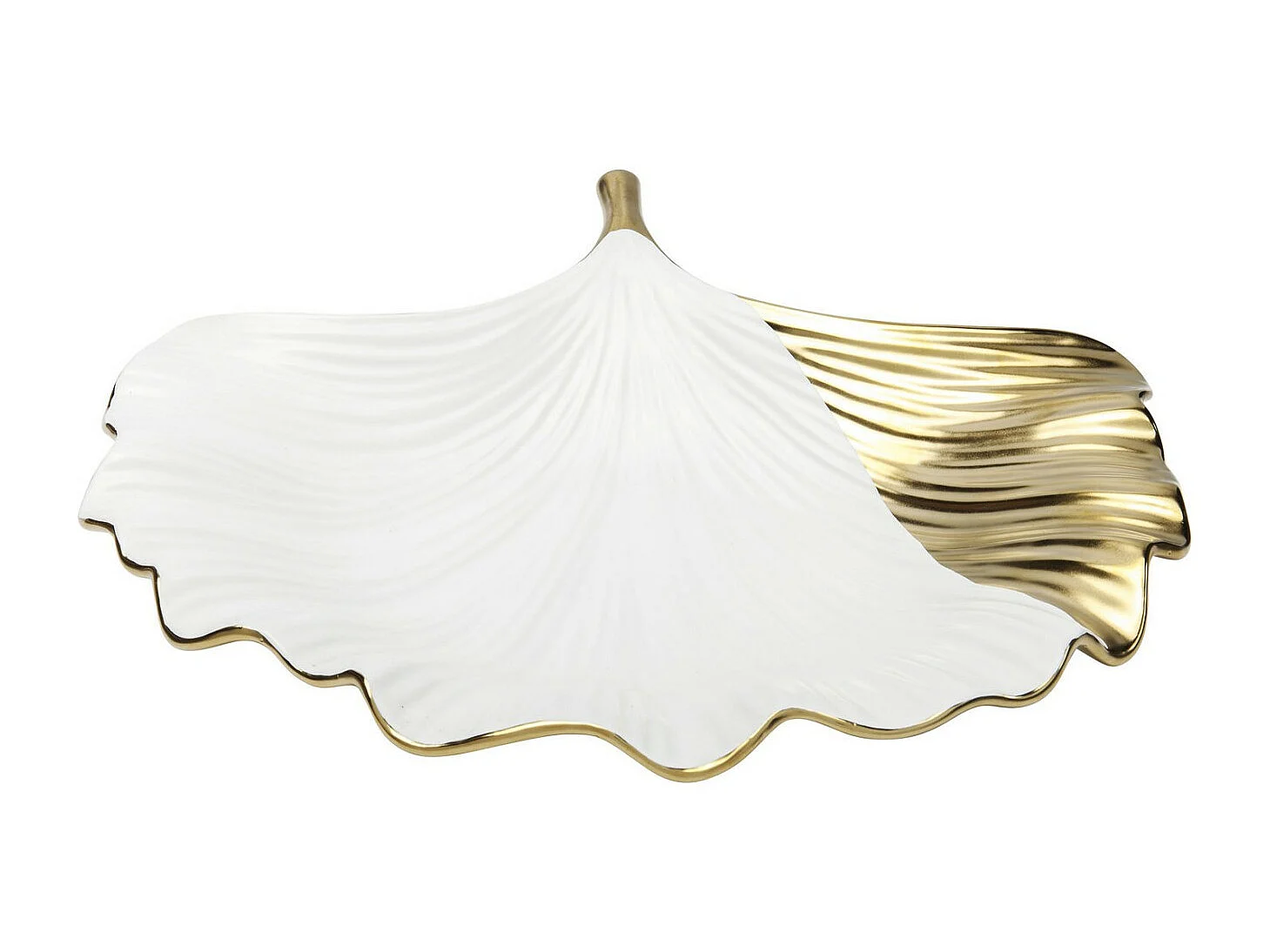 Coupe Ginkgo Elegance Side