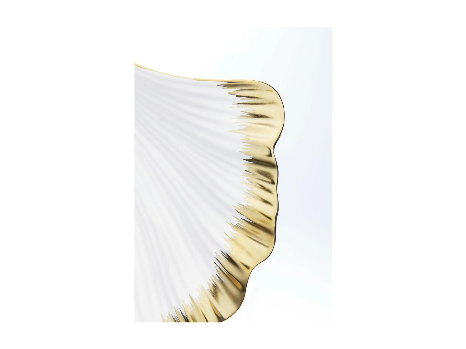 Coupe Ginkgo Elegance Rim