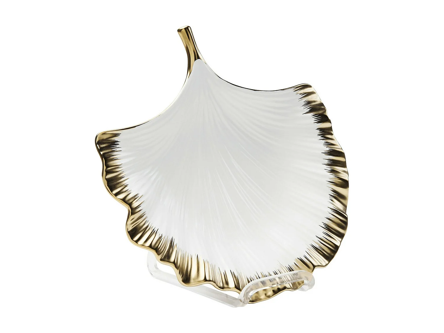 Coupe Ginkgo Elegance Rim