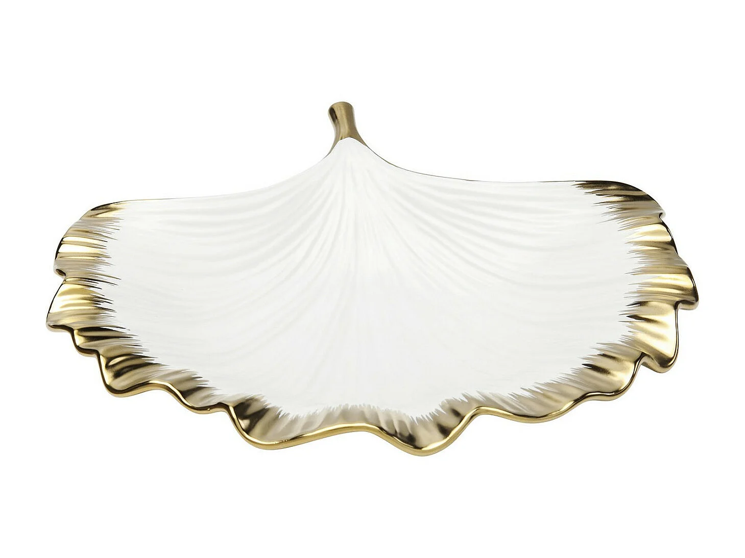 Coupe Ginkgo Elegance Rim