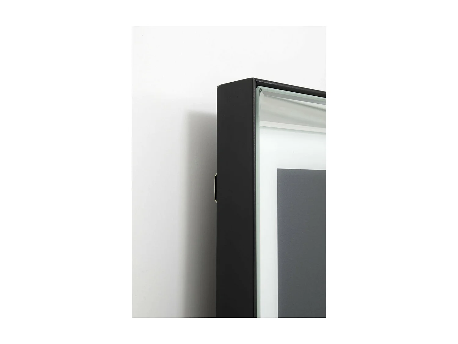 Bild Frame Mirror King Dog 60x60