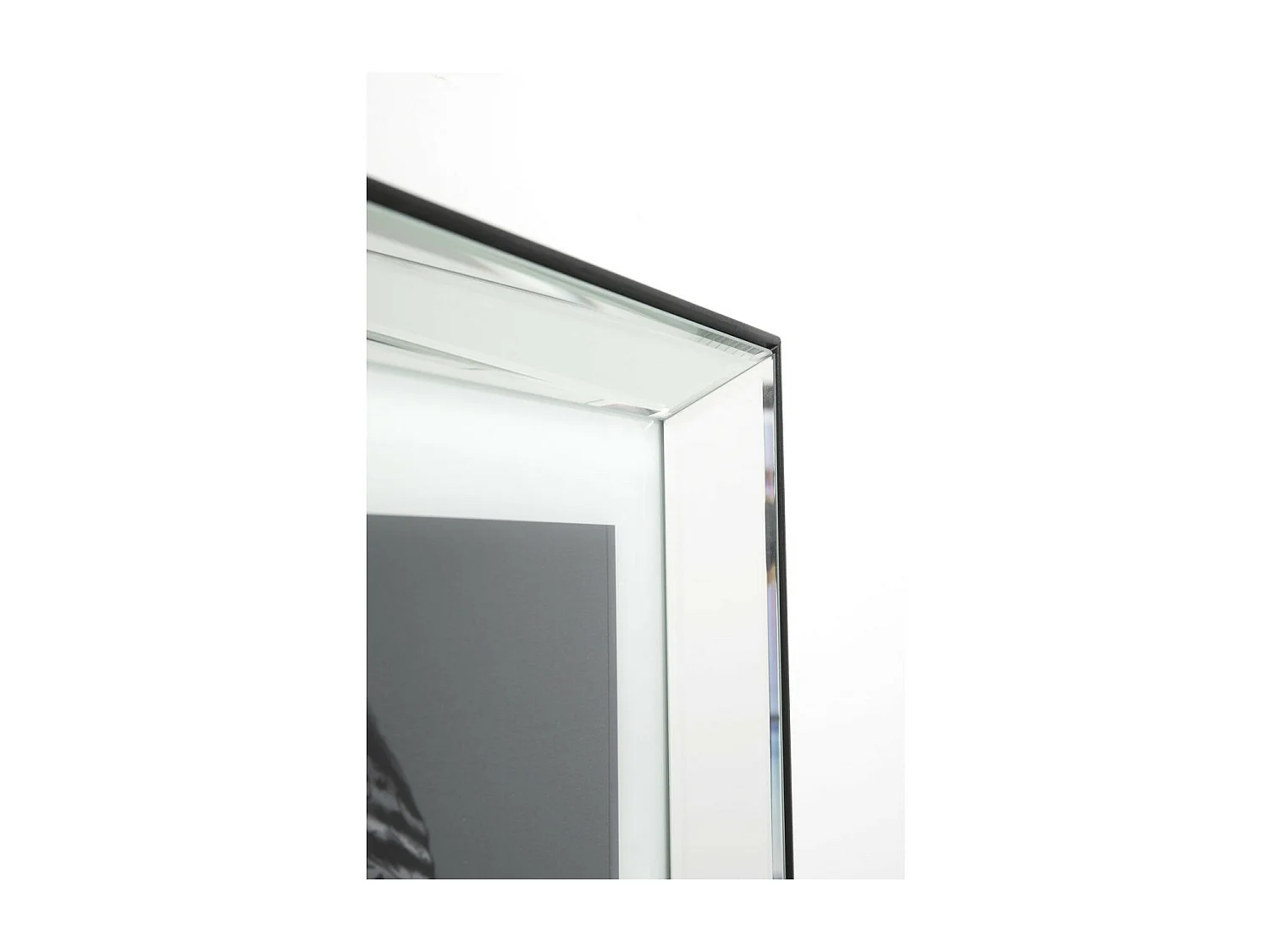 Tableau Frame Mirror King Dog 60x60cm