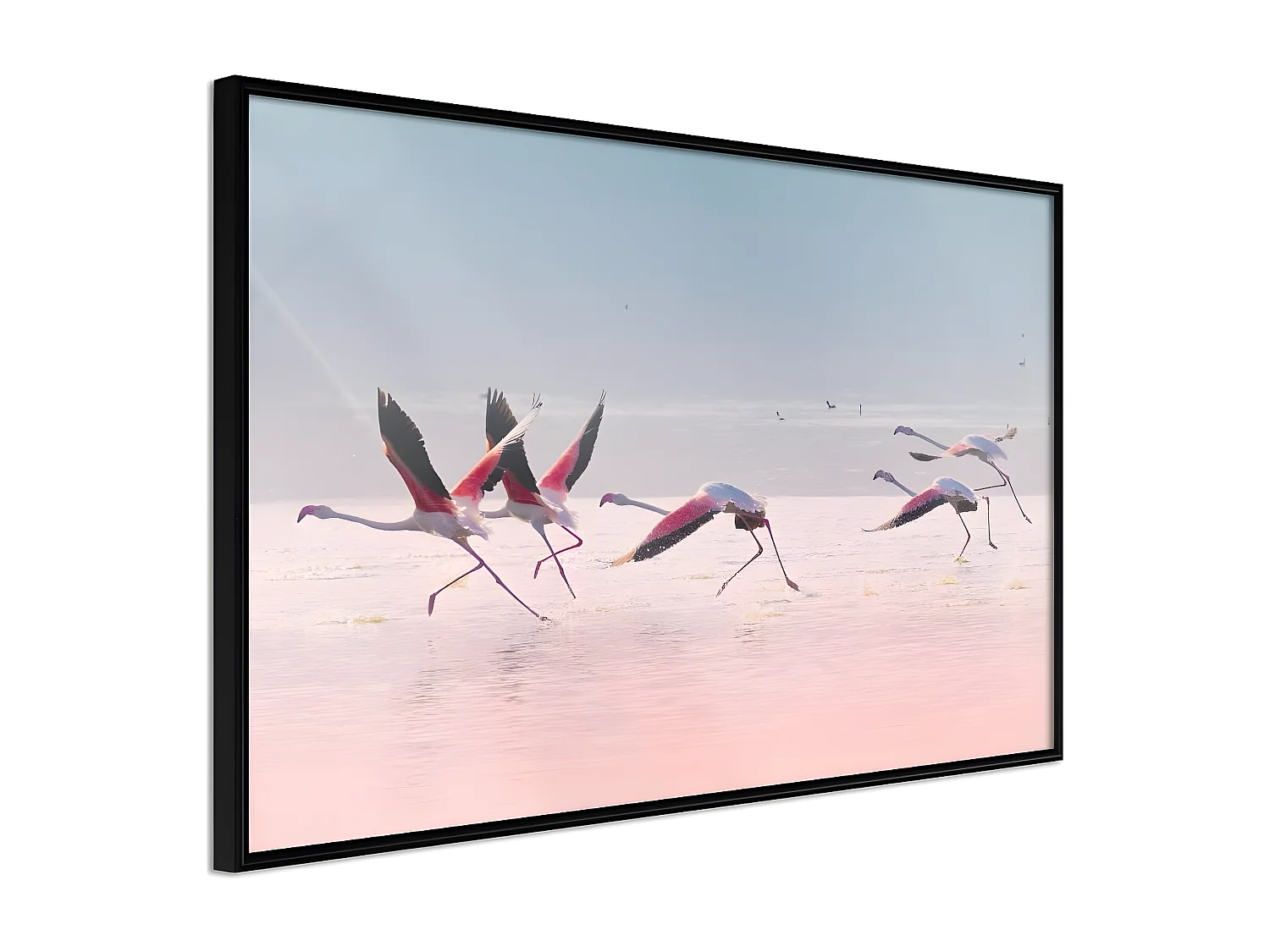 Affiche Murale Encadrée "Flamingos Breaking into a Flight" 45 x 30 cm Noir