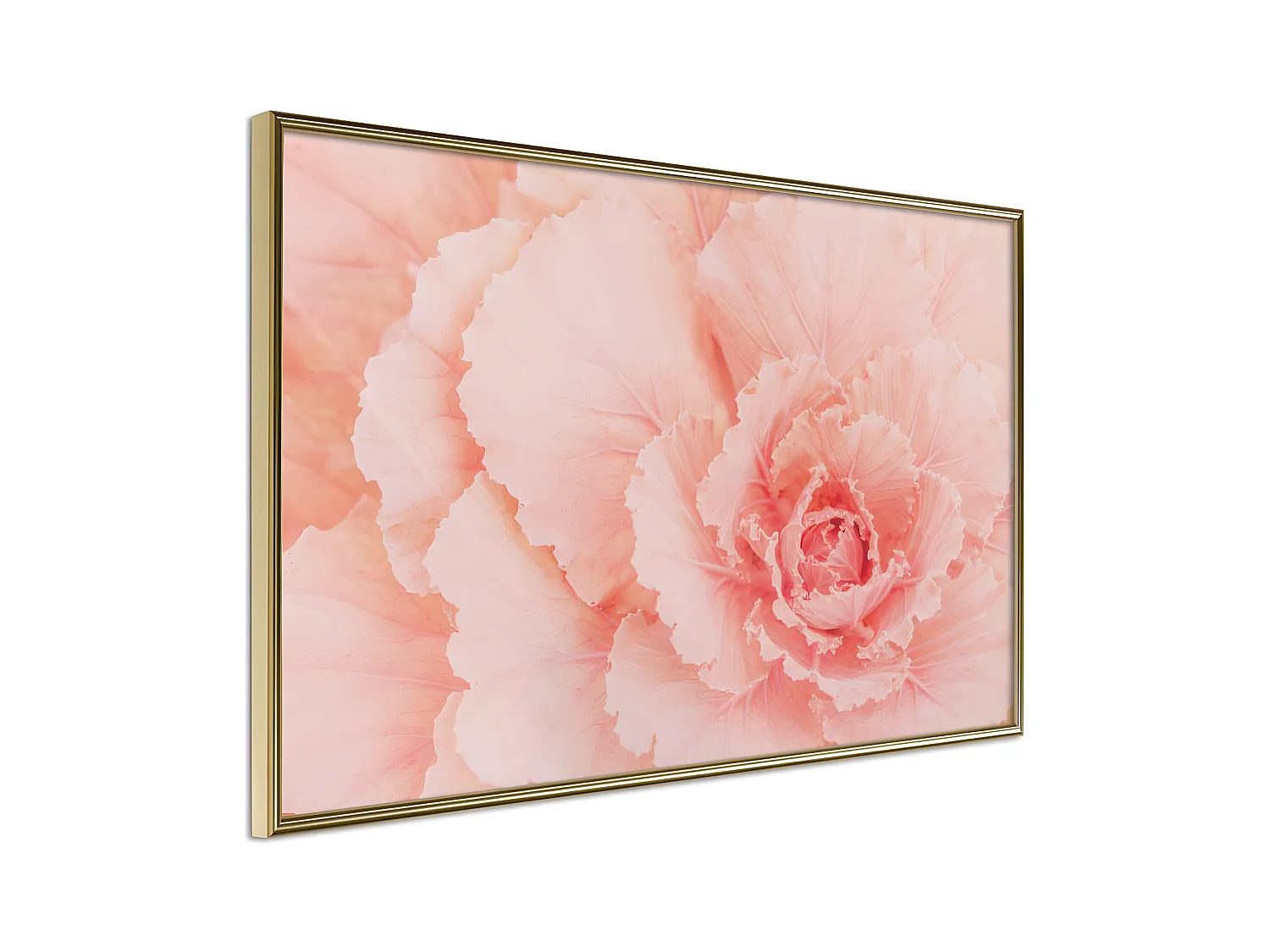 Affiche Murale Encadrée "Delicate Petals" 60 x 40 cm Or