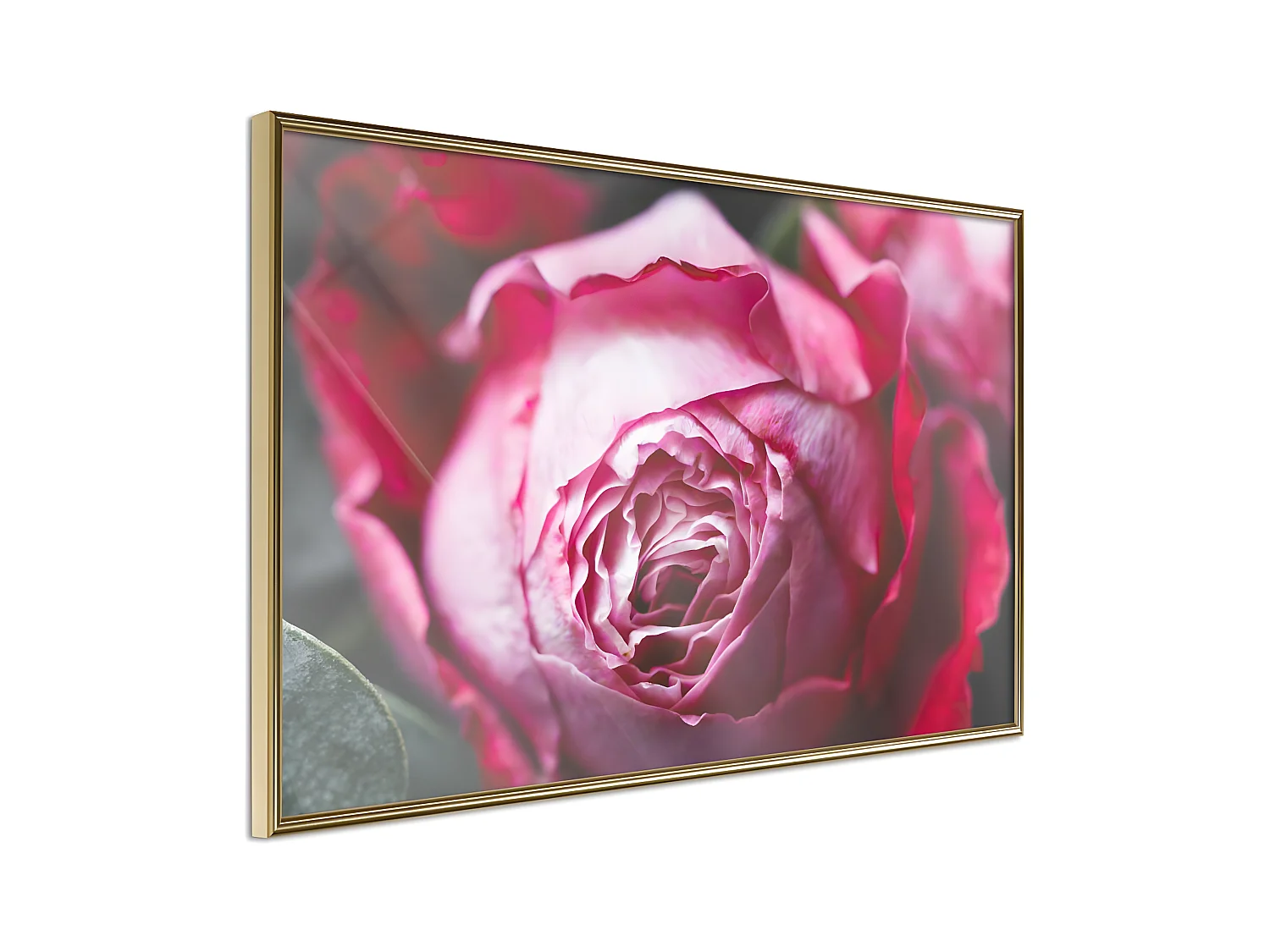 Affiche Murale Encadrée "Blooming Rose" 30 x 20 cm Or
