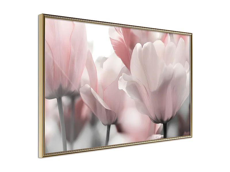 Affiche Murale Encadrée "Pastel Tulips II" 90 x 60 cm Or