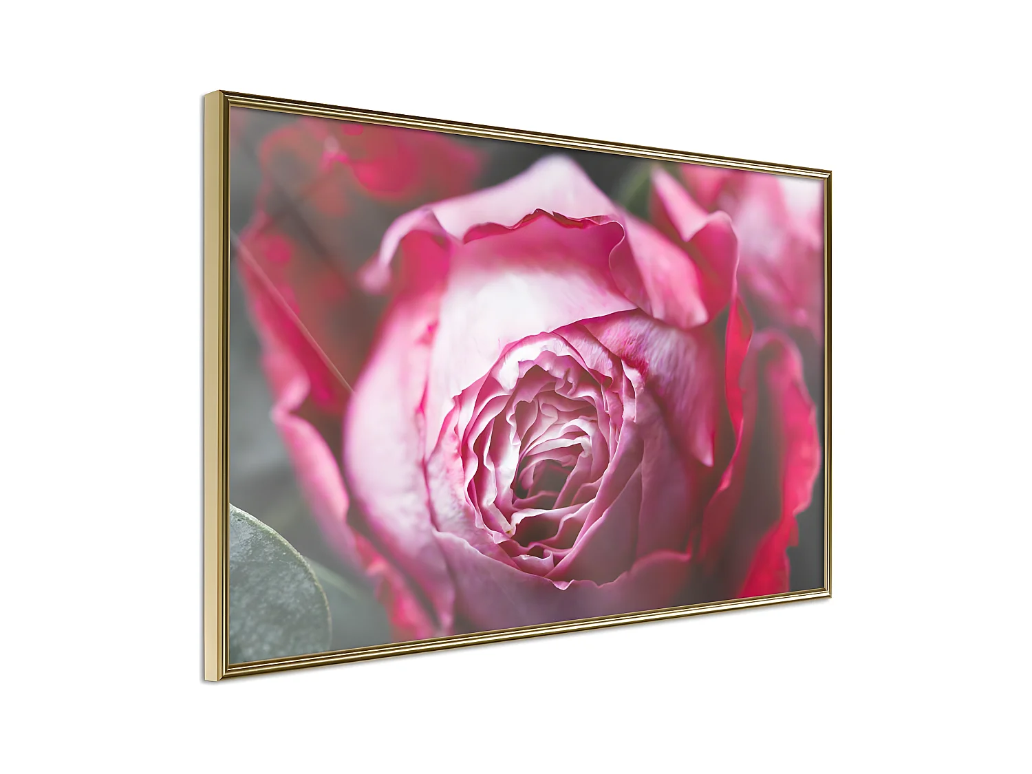 Affiche Murale Encadrée "Blooming Rose" 60 x 40 cm Or