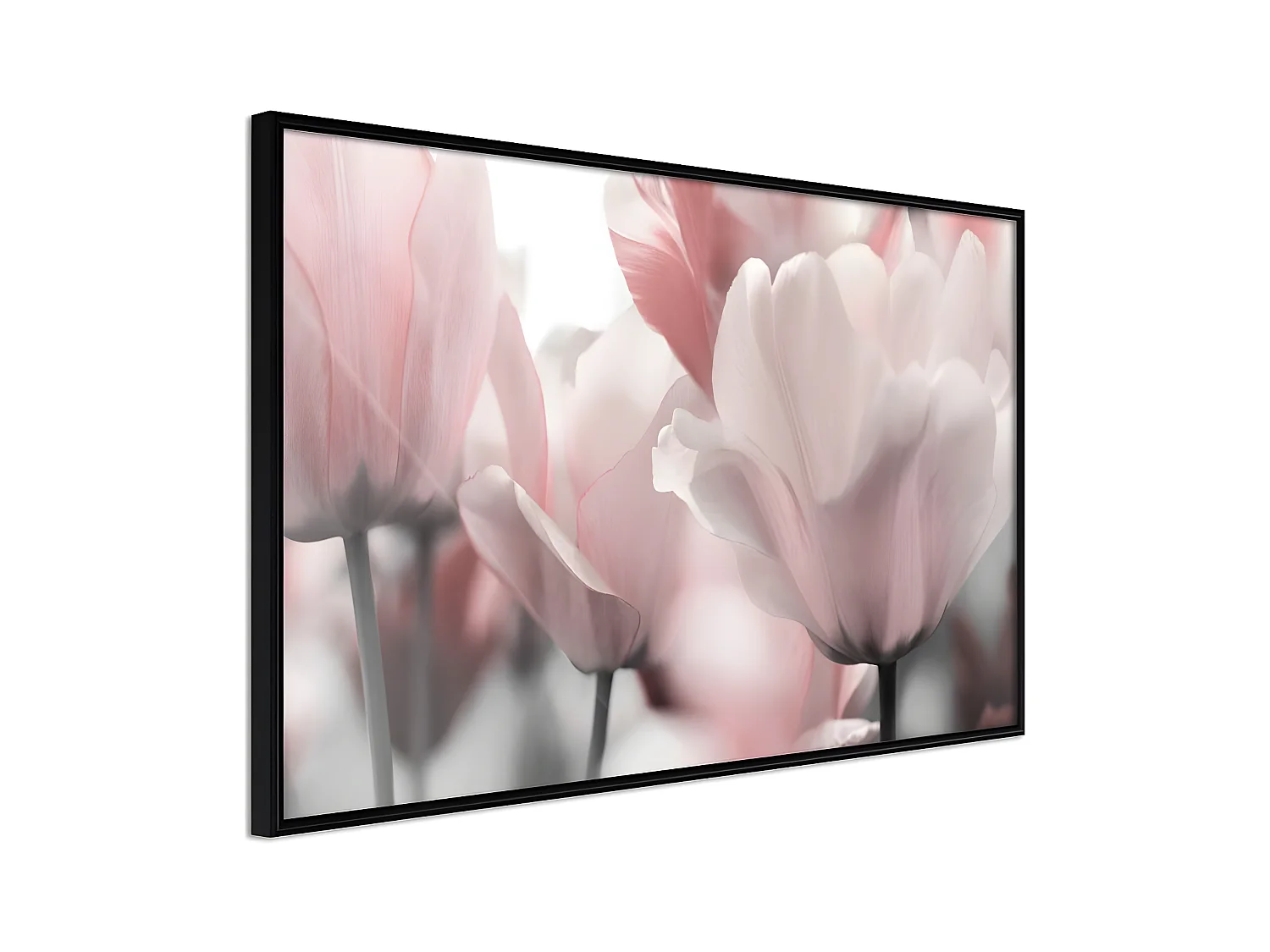 Affiche Murale Encadrée "Pastel Tulips II" 60 x 40 cm Noir
