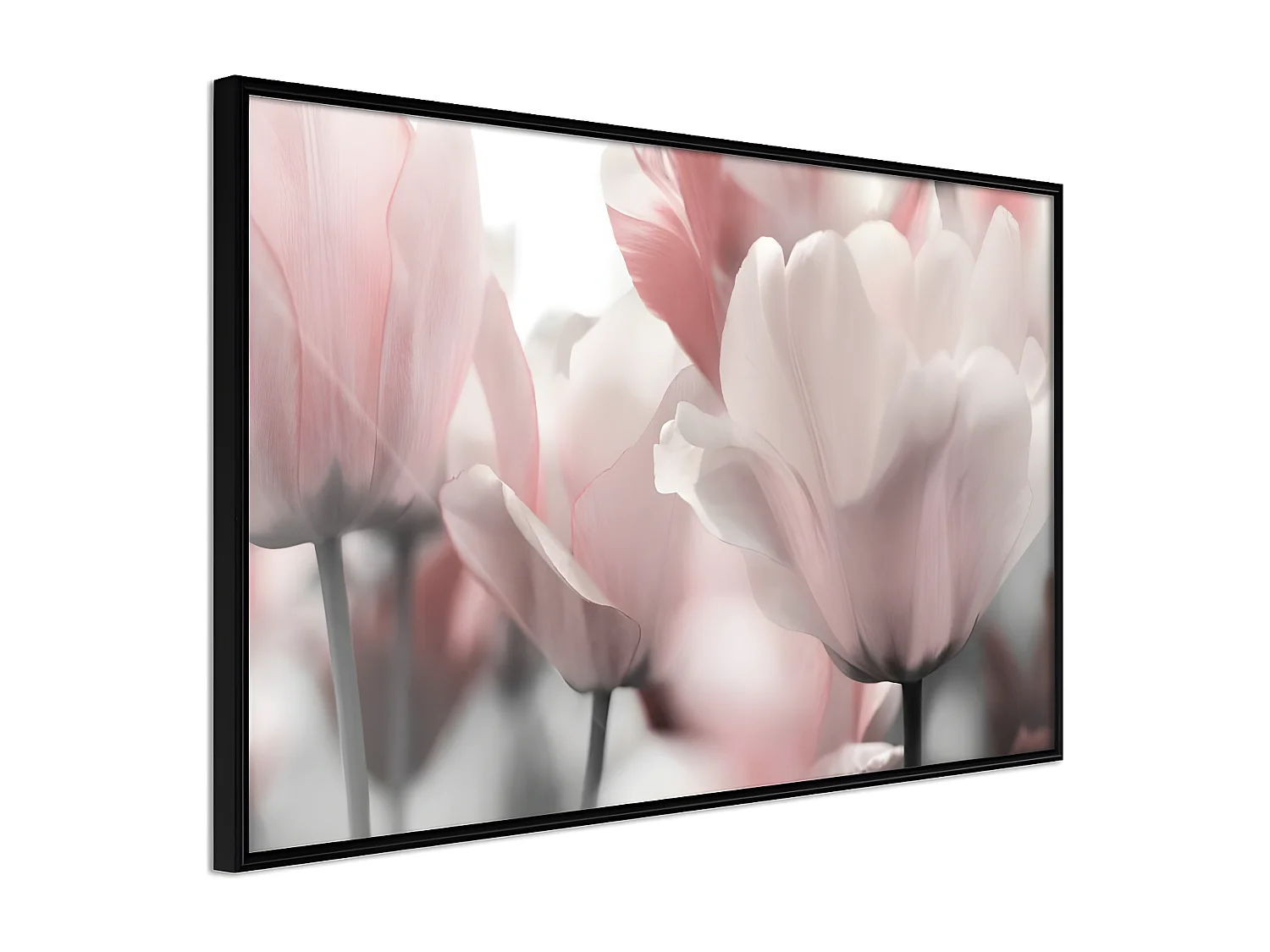 Affiche Murale Encadrée "Pastel Tulips II" 45 x 30 cm Noir