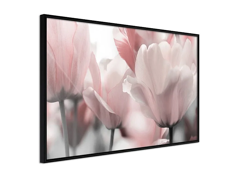 Affiche Murale Encadrée "Pastel Tulips II" 30 x 20 cm Noir