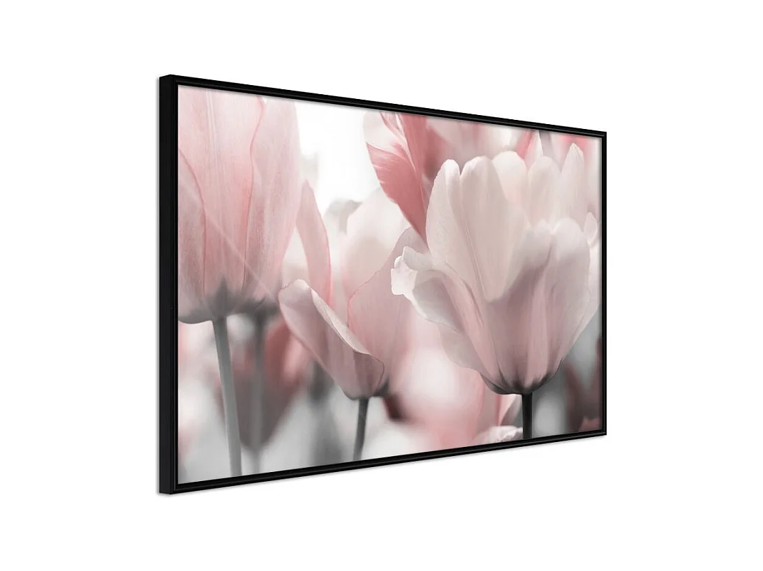 Affiche Murale Encadrée "Pastel Tulips II" 30 x 20 cm Noir