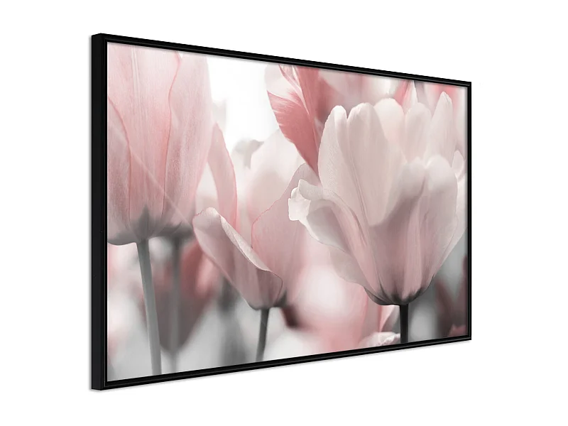 Affiche Murale Encadrée "Pastel Tulips II" 30 x 20 cm Noir
