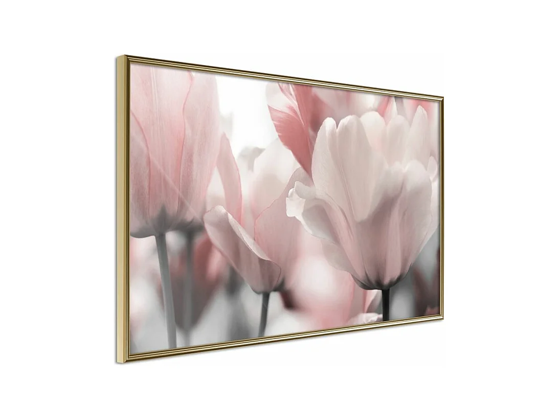 Affiche Murale Encadrée "Pastel Tulips II" 45 x 30 cm Or