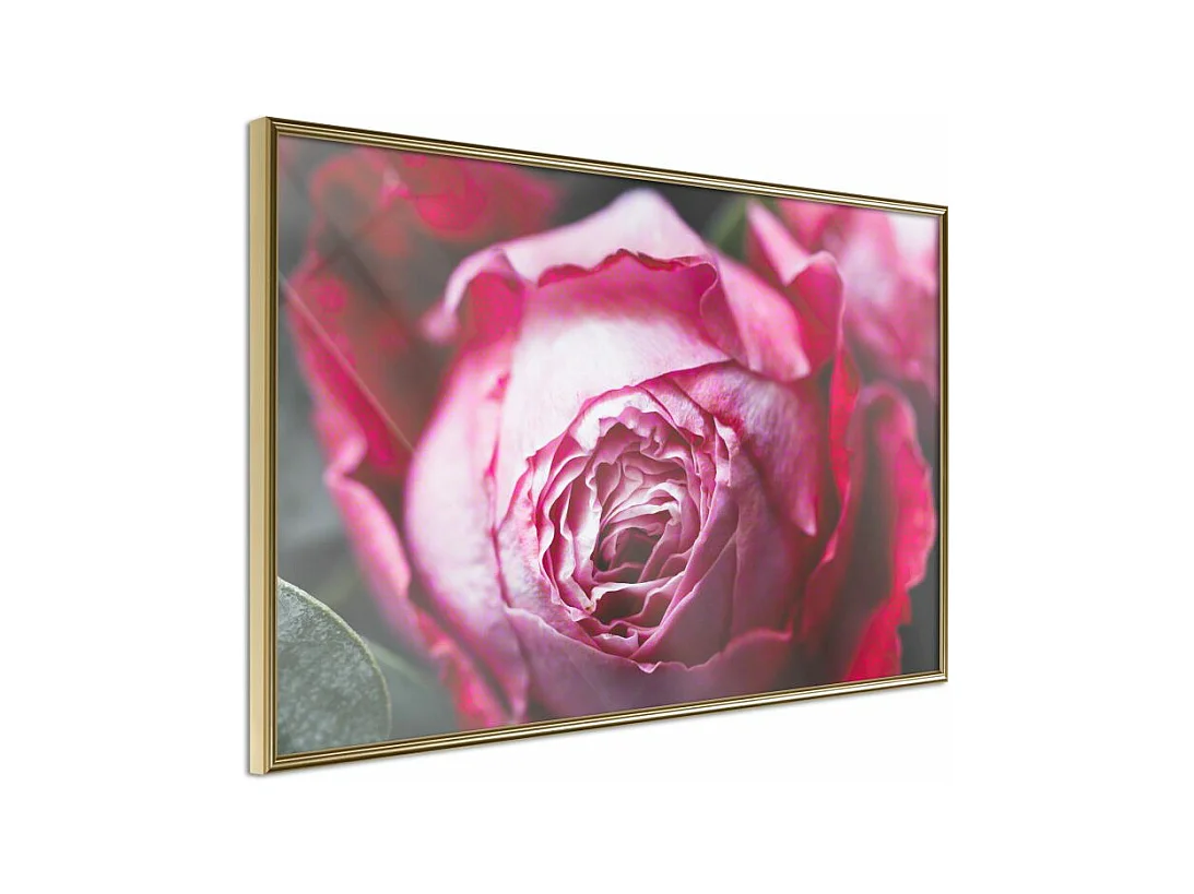 Affiche Murale Encadrée "Blooming Rose" 45 x 30 cm Or