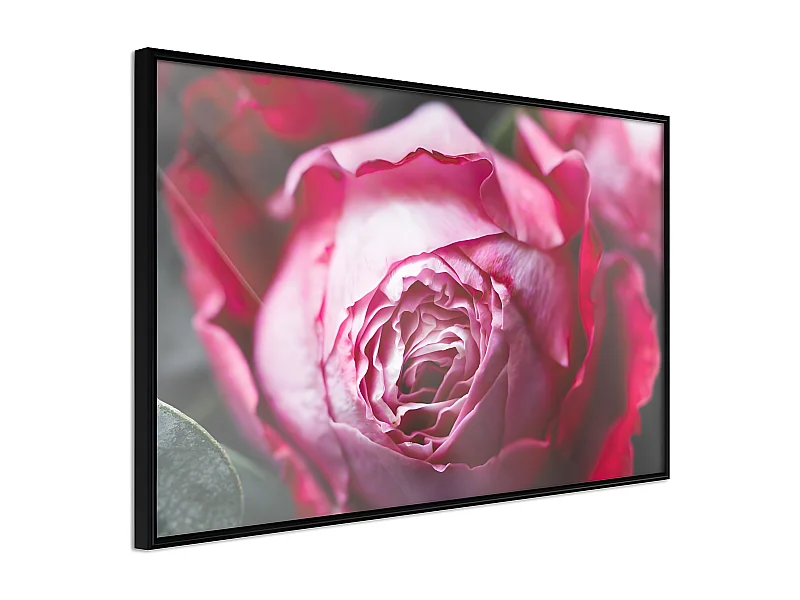 Affiche Murale Encadrée "Blooming Rose" 45 x 30 cm Noir
