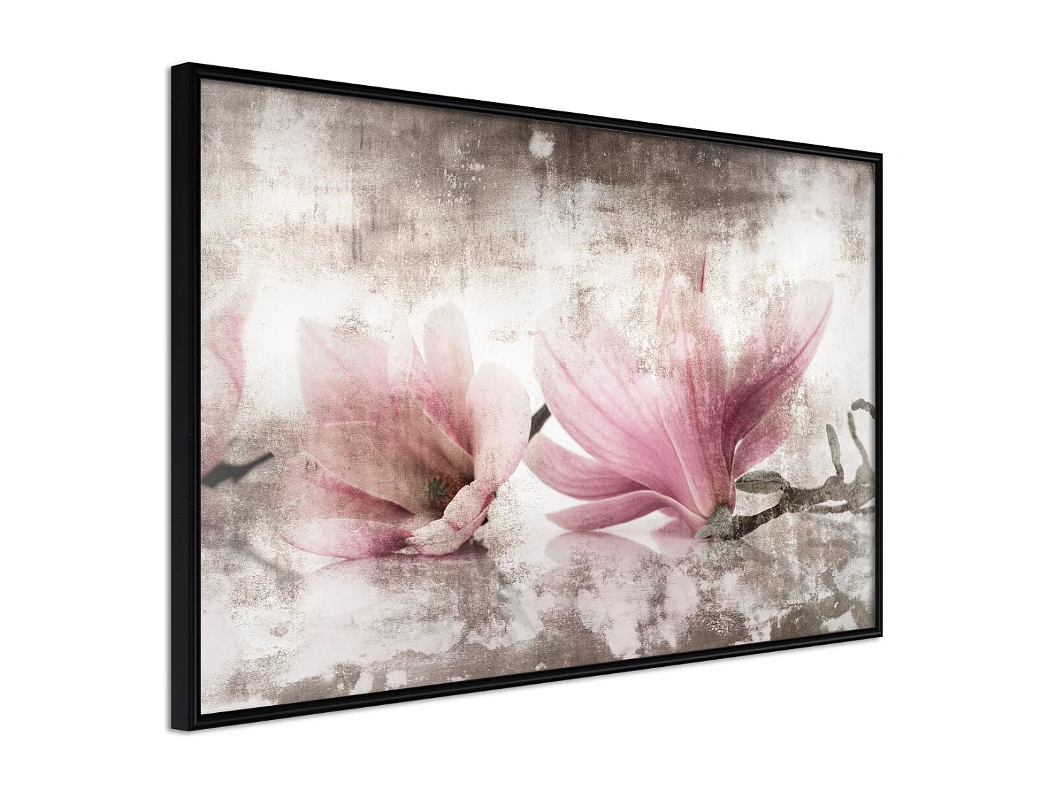 Affiche Murale Encadrée "Picked Magnolias" 60 x 40 cm Noir