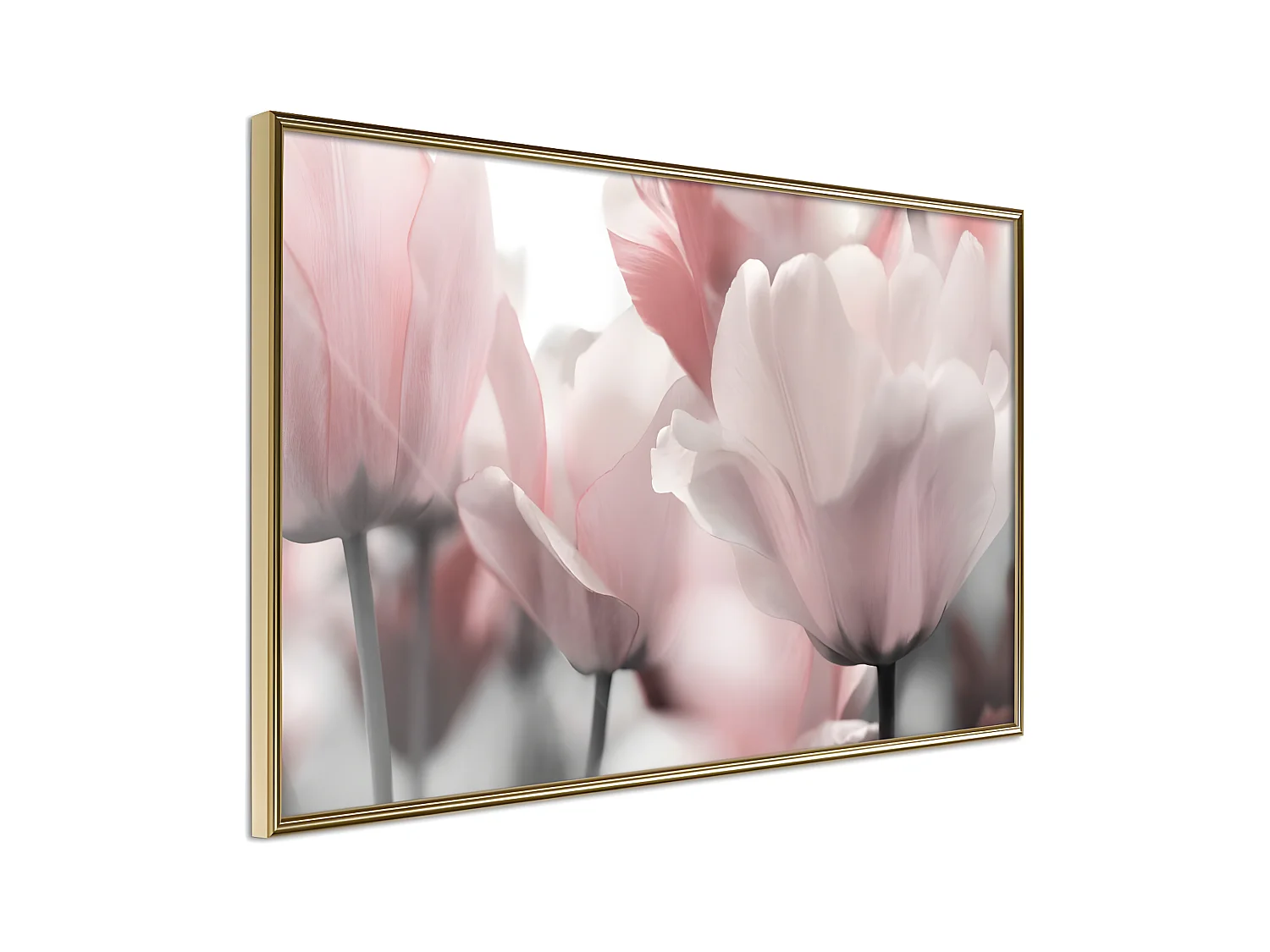 Affiche Murale Encadrée "Pastel Tulips II" 30 x 20 cm Or