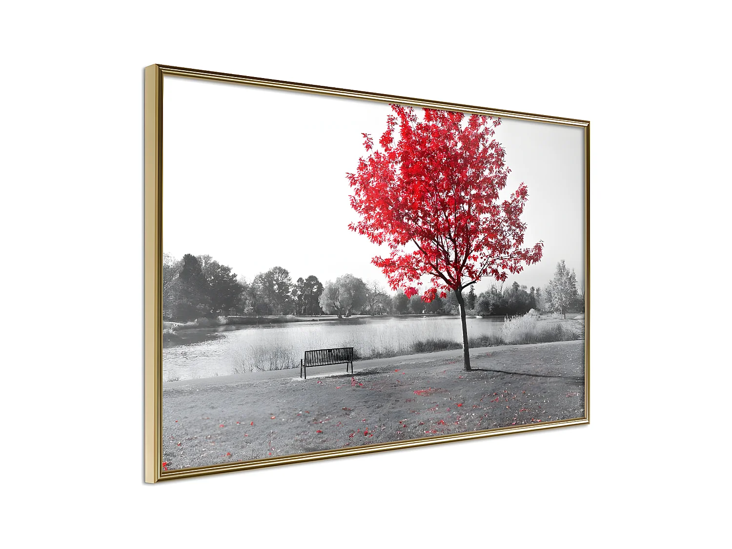 Affiche Murale Encadrée "Autumn Colours I" 45 x 30 cm Or