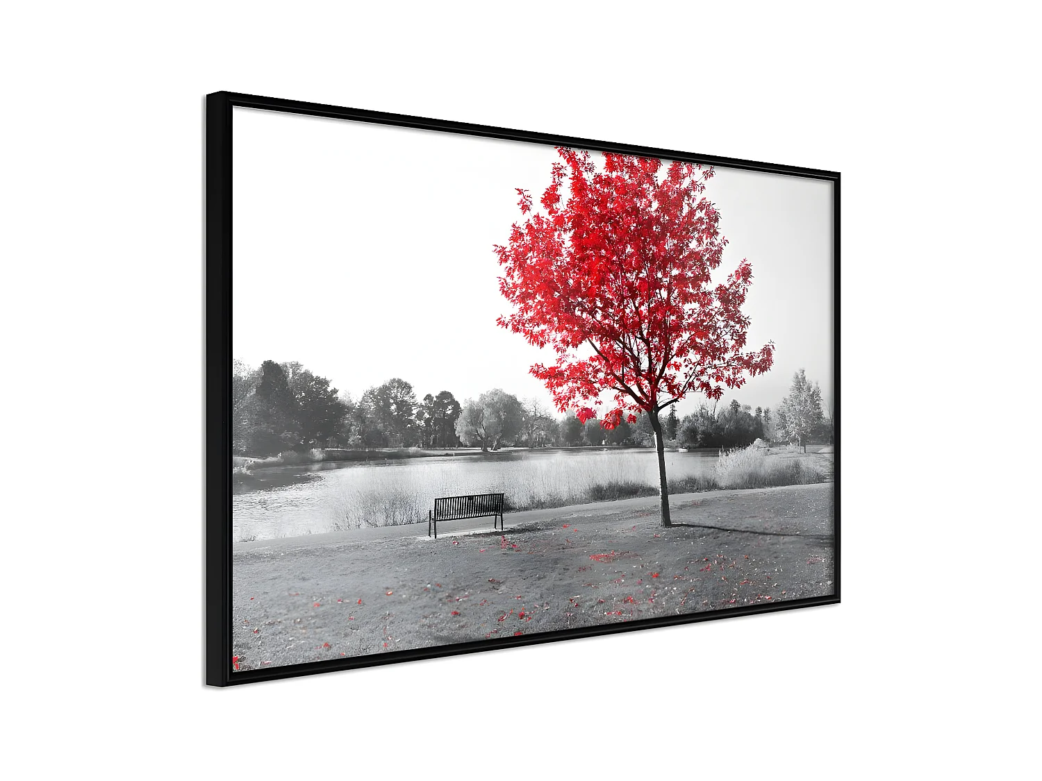 Affiche Murale Encadrée "Autumn Colours I" 45 x 30 cm Noir