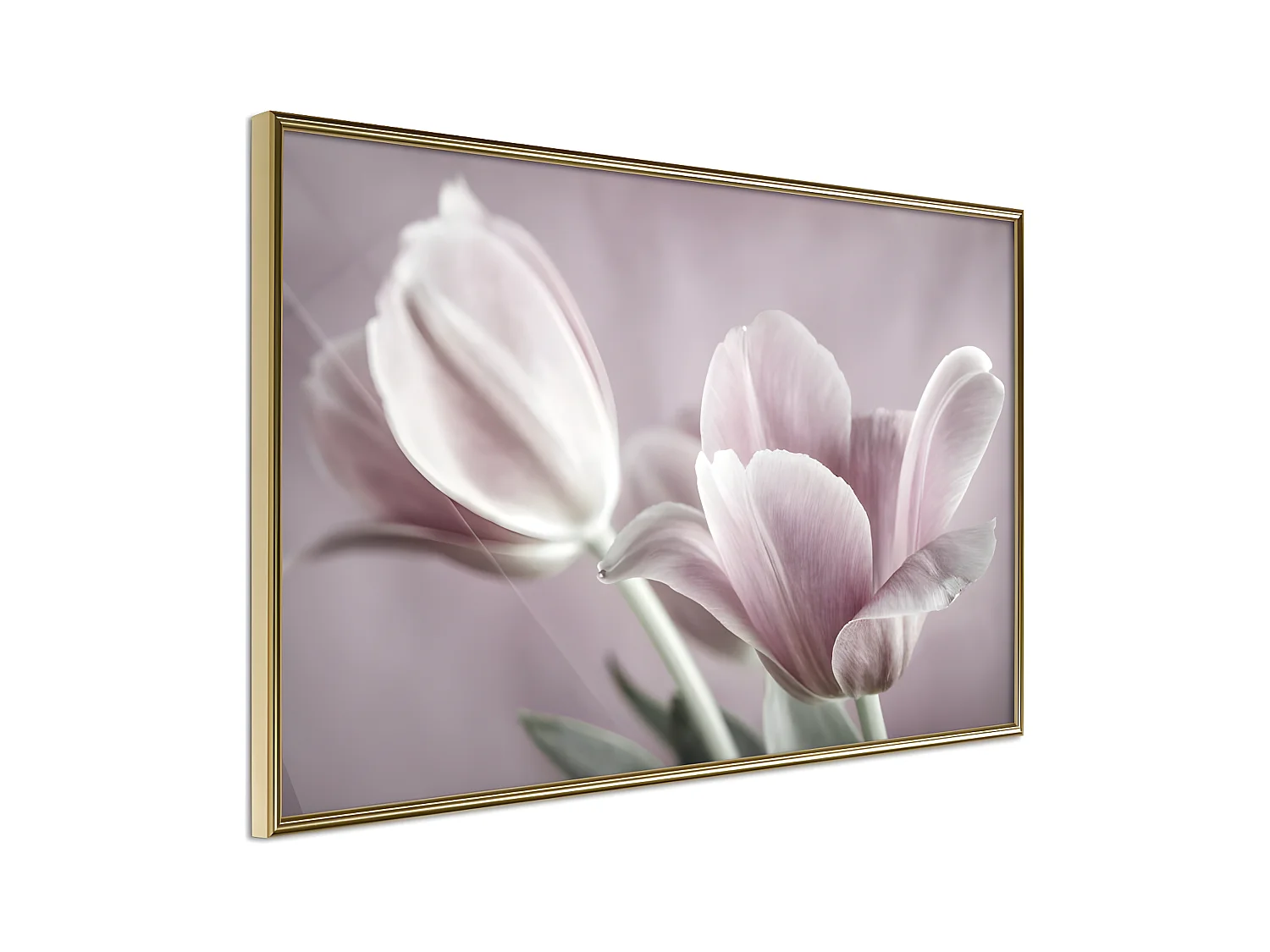 Affiche Murale Encadrée "Pastel Tulips I" 30 x 20 cm Or