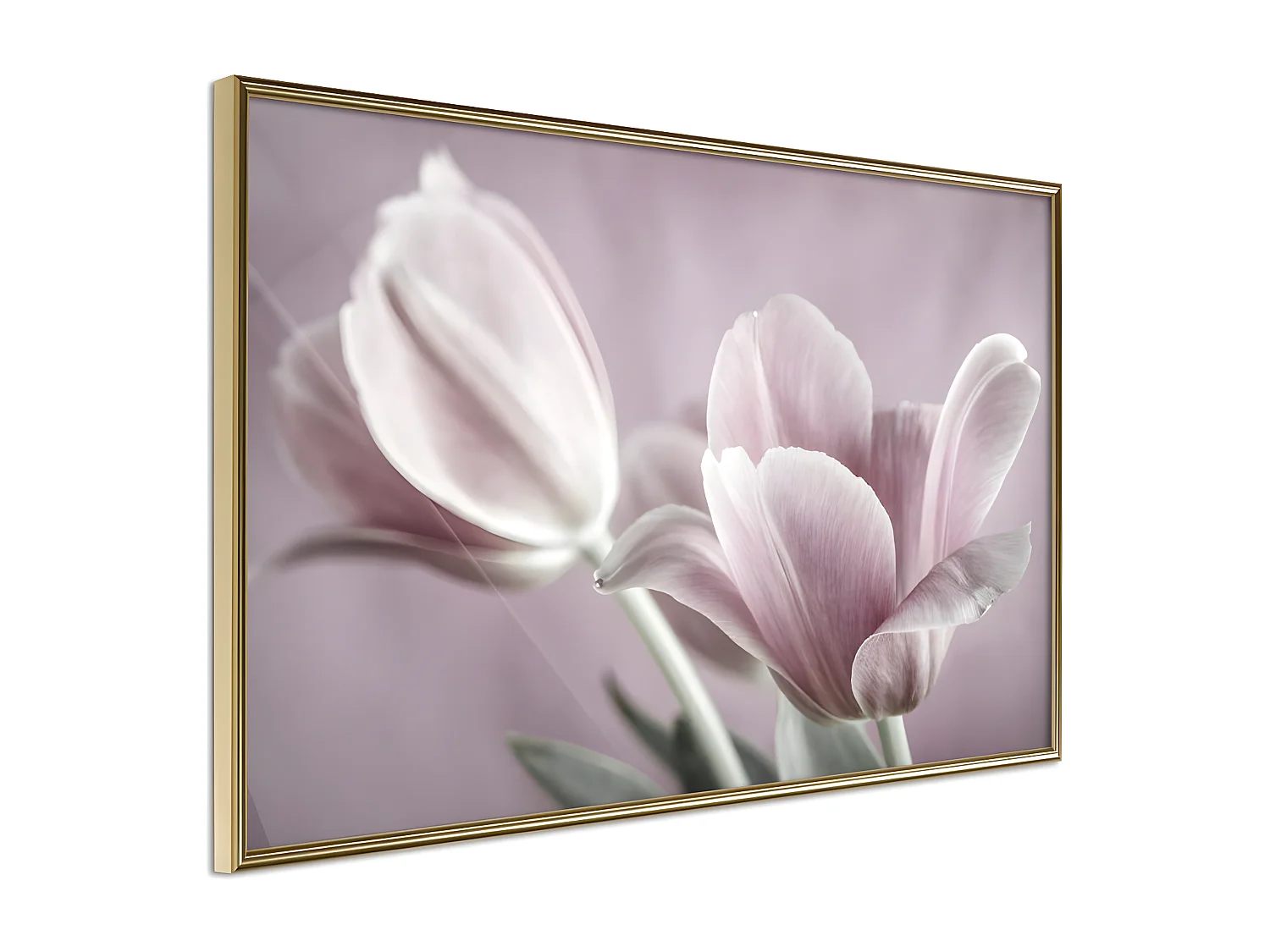 Affiche Murale Encadrée "Pastel Tulips I" 60 x 40 cm Or