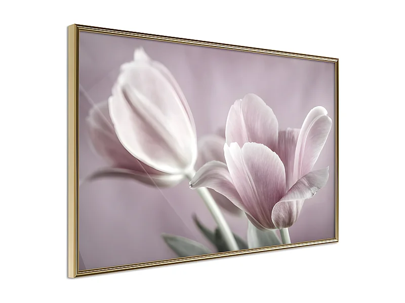Affiche Murale Encadrée "Pastel Tulips I" 60 x 40 cm Or