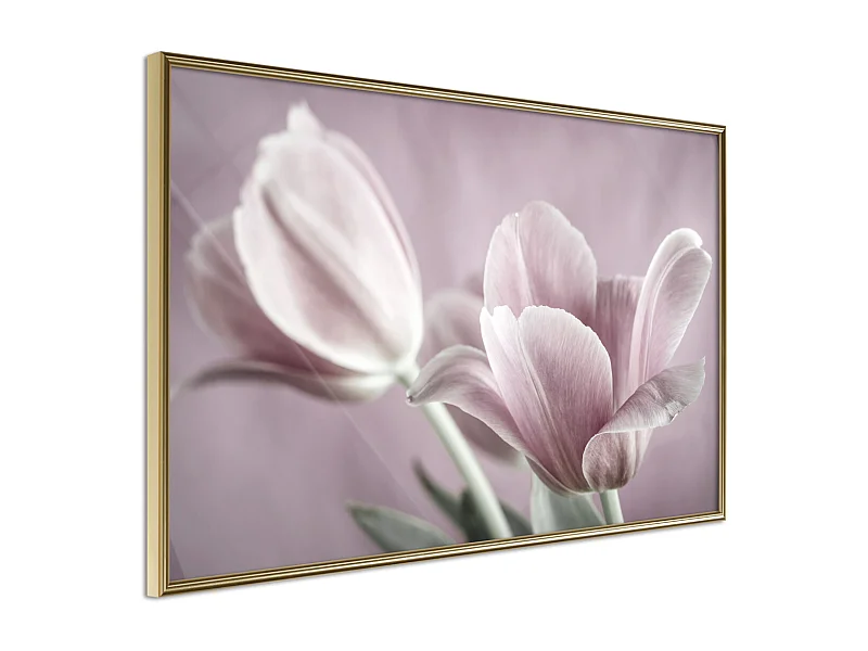 Affiche Murale Encadrée "Pastel Tulips I" 60 x 40 cm Or