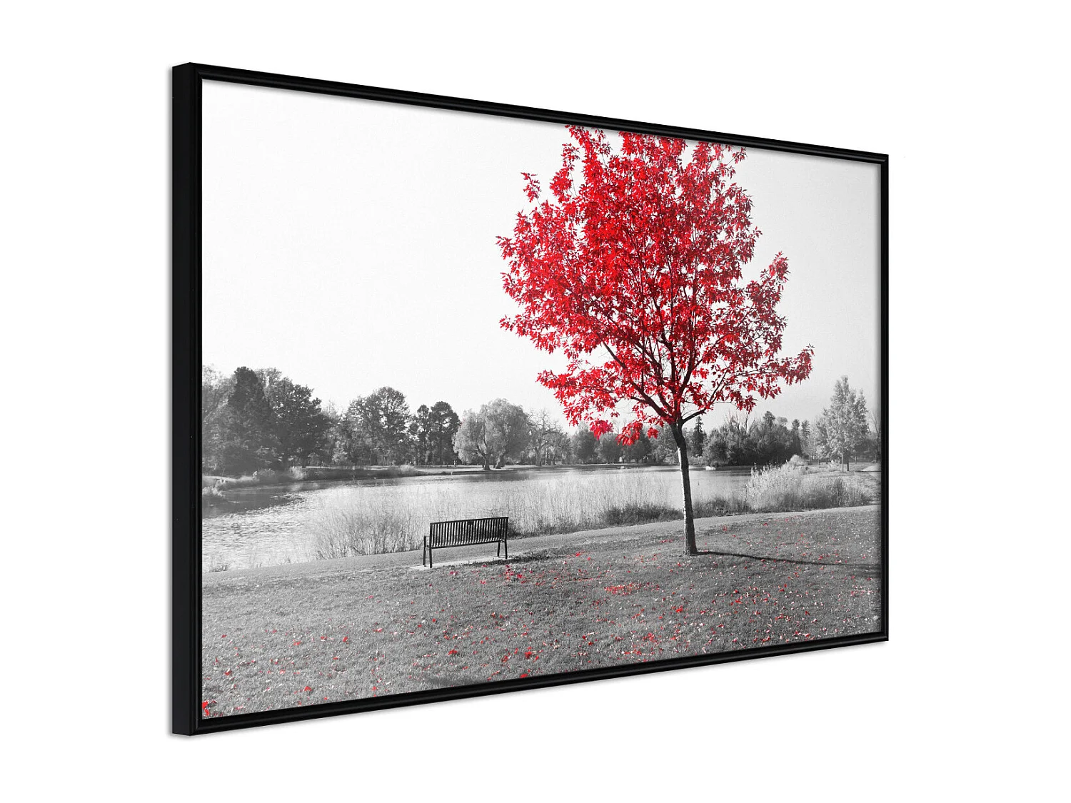 Affiche Murale Encadrée "Autumn Colours I" 60 x 40 cm Noir