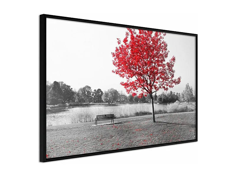 Affiche Murale Encadrée "Autumn Colours I" 90 x 60 cm Noir